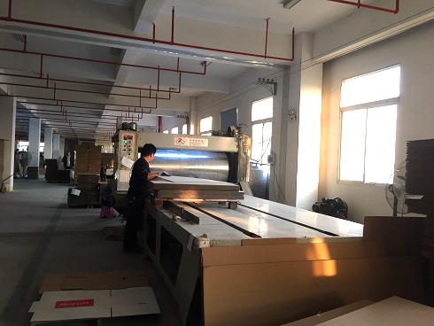 《一口气看完偷渡的女人》午夜高清完整版7